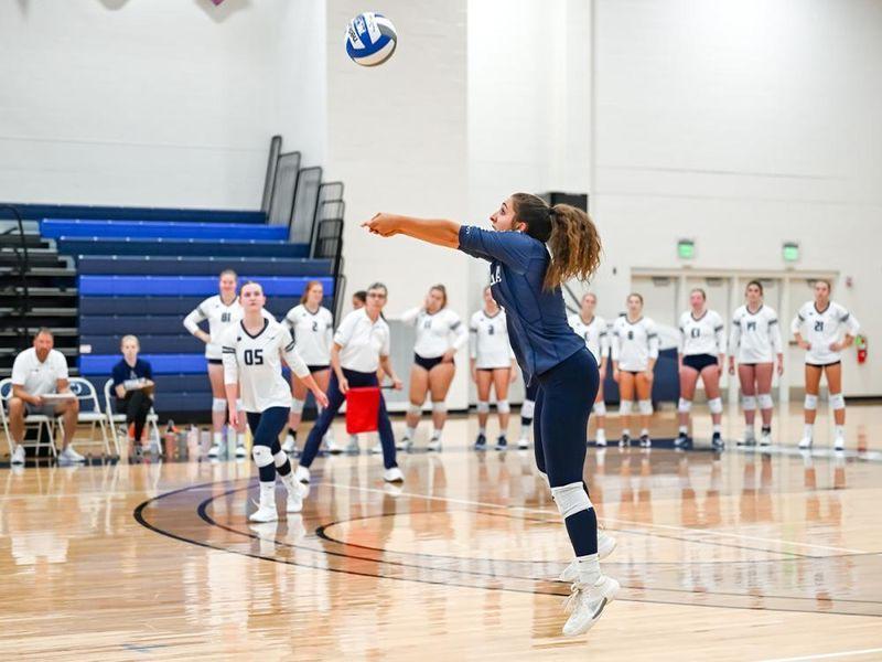 Penn State 阿尔图纳 volleyball player Anna Batrus hits the ball in a match